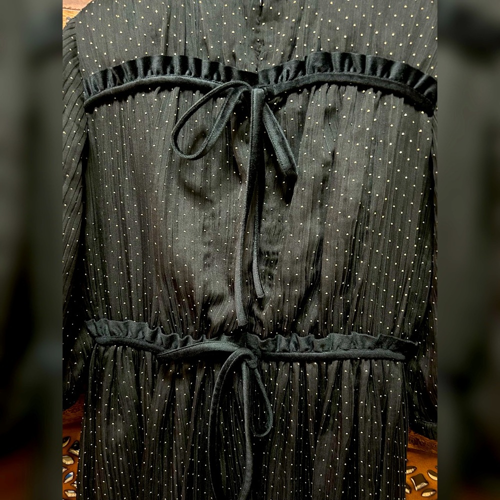 Plissé Embellished Midi Dress - Picture 9 of 14